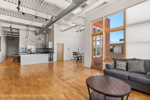 Living - 231 Robinson Street 312 Basalt Co 81621 St #312, Basalt, CO 81621 photo 4 of 5