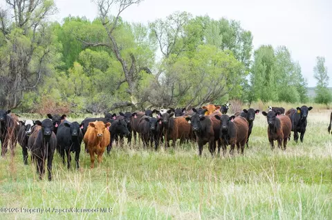 tbd County Road 77 Craig Co 81625, Craig, CO 81625