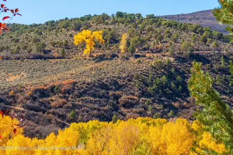 Other - 422 Sopris Creek Road Basalt Co 81621 Rd, Basalt, CO 81621 photo 18 of 27