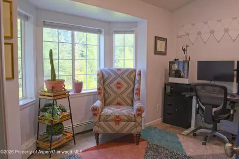 Other - 7204 Elk Lane Basalt Co 81621 Ln, Basalt, CO 81621 photo 2 of 4
