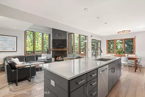 384 Fawn Court Snowmass Village Co 81615 Ct, Snowmass Village, CO 81615