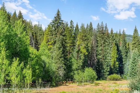 Other - 2450 N Fork Road Meredith Co 81642 Rd, Meredith, CO 81642 photo 21 of 28