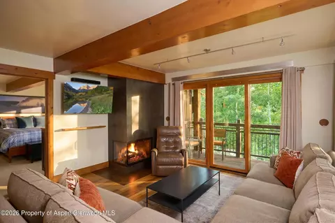 131 E Durant Avenue 410 Aspen Co 81611 Ave #410, Aspen, CO 81611