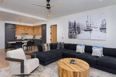 119 Wood Road 503 Snowmass Village Co 81615 Rd #503, Snowmass Village, CO 81615