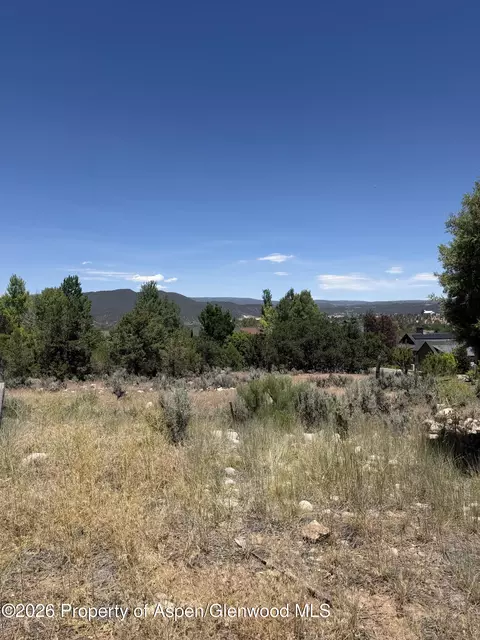 114 Bowles Drive Carbondale Co 81623 Dr, Carbondale, CO 81623