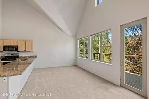 Living - 711 Evans Court Basalt Co 81621 Ct, Basalt, CO 81621 photo 5 of 6