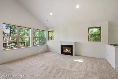 Living - 711 Evans Court Basalt Co 81621 Ct, Basalt, CO 81621 photo 4 of 6