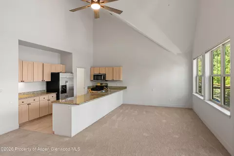 Other - 711 Evans Court Basalt Co 81621 Ct, Basalt, CO 81621 photo 3 of 5