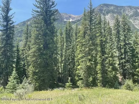3950 County Road 3 Carbondale Co 81623, Carbondale, CO 81623