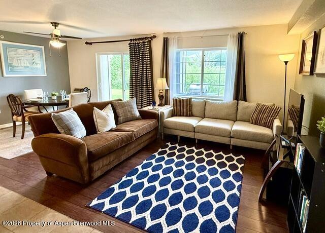 571 River View Drive 1202 New Castle Co 81647 Dr #1202, New Castle, CO 81647