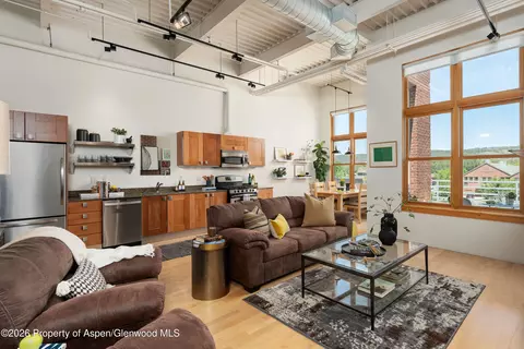 Living - 231 Robinson Street 320 Basalt Co 81621 St #320, Basalt, CO 81621 photo 5 of 5
