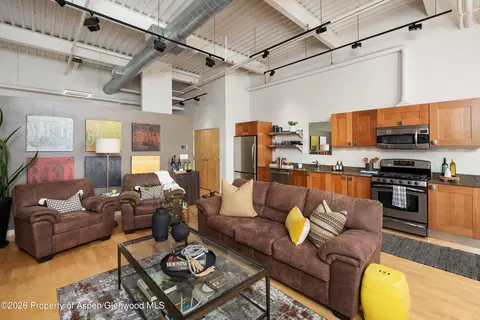 Living - 231 Robinson Street 320 Basalt Co 81621 St #320, Basalt, CO 81621 photo 4 of 5