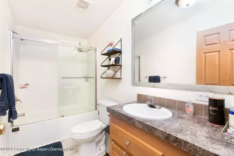 1900 Willits Lane Basalt Co 816 Ln #21, Basalt, CO 81621 photo 18