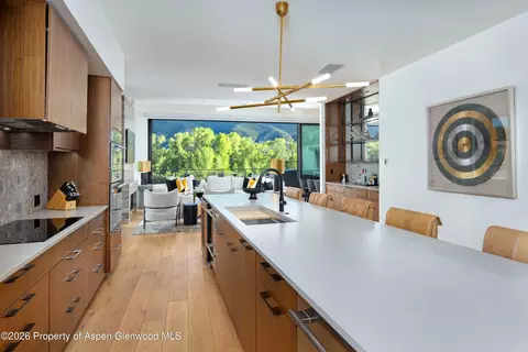 22860 Two Rivers Road Penthouse Basalt Co 81621 Rd #PENTHOUSE, Basalt, CO 81621 photo 14