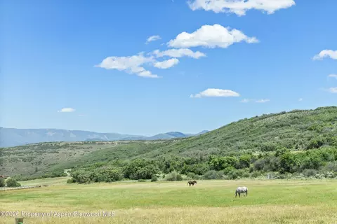 Other - 160 Spring Creek Road Basalt Co 81621 Rd, Basalt, CO 81621 photo 26 of 26