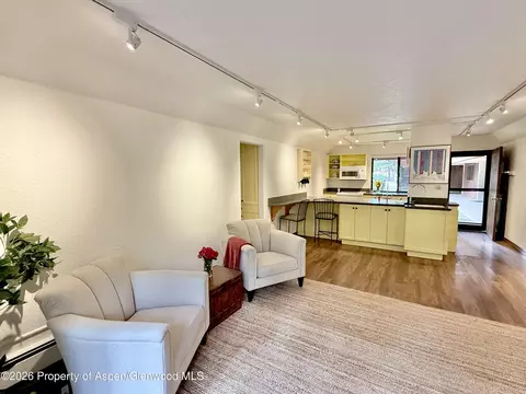 1214 Vine Street 1214 Aspen Co 81611 St #1214, Aspen, CO 81611
