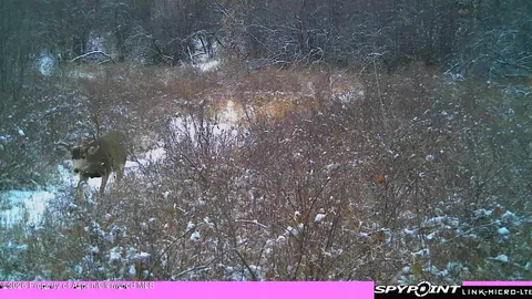 tbd County Road 313 Silt Co 81652, Silt, CO 81652 photo 12