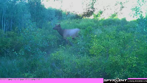 tbd County Road 313 Silt Co 81652, Silt, CO 81652 photo 14