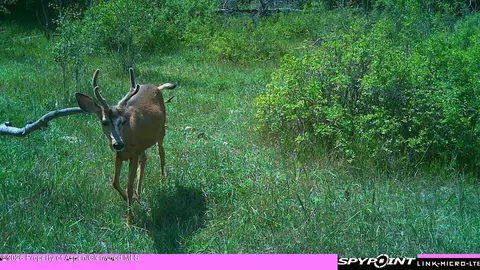 tbd County Road 313 Silt Co 81652, Silt, CO 81652 photo 9
