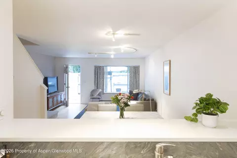 Other - 405 Park Avenue B4 Basalt Co 81621 Ave #B4, Basalt, CO 81621 photo 3 of 12