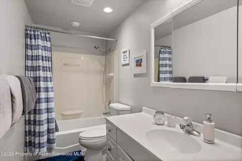 Bath - 750 Hearthstone Drive Basalt Co 81621 Dr, Basalt, CO 81621 photo 7 of 7