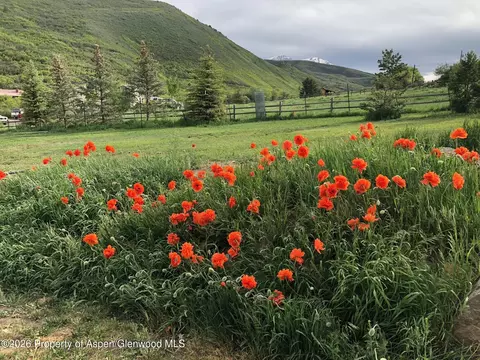Other - 360 W Sopris Creek Road Basalt Co 81621 Rd, Basalt, CO 81621 photo 17 of 22
