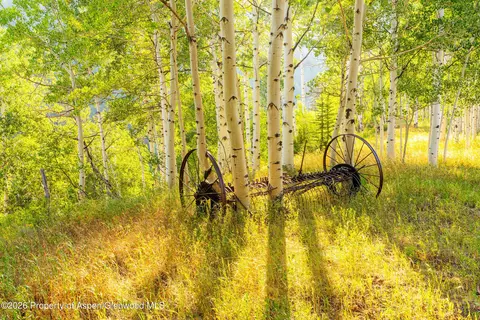 Other - 294 Ruedi Creek Road Basalt Co 81621 Rd, Basalt, CO 81621 photo 16 of 27