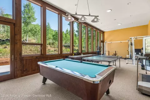 Other - 170 Regatta Drive Basalt Co 81621 Dr, Basalt, CO 81621 photo 5 of 17