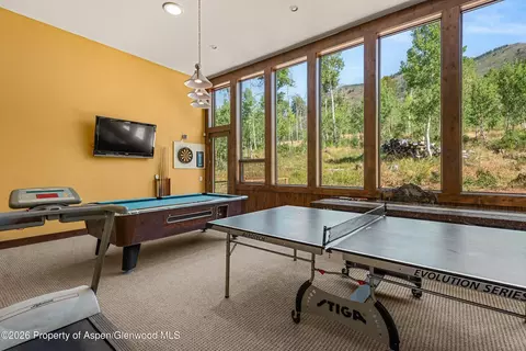 Other - 170 Regatta Drive Basalt Co 81621 Dr, Basalt, CO 81621 photo 4 of 17