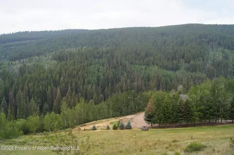 449 Mclaughlin Lane Basalt Co 81621 Ln, Basalt, CO 81621 photo 4