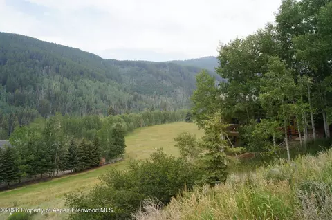 449 Mclaughlin Lane Basalt Co 81621 Ln, Basalt, CO 81621 photo 2