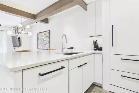 610 S West End Street K203 Aspen Co 81611 St #K203, Aspen, CO 81611
