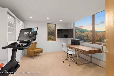 Other - 699 Eppley Drive Aspen Co 81611 Dr, Aspen, CO 81611 photo 4 of 9