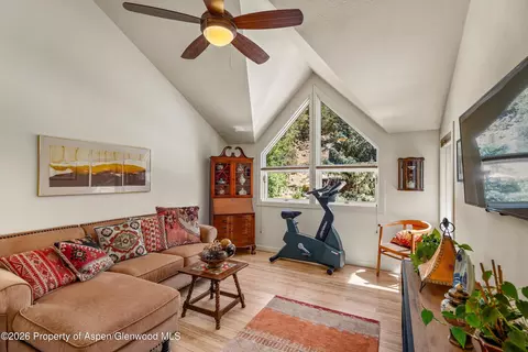 Other - 82 Silverado Drive Basalt Co 81621 Dr, Basalt, CO 81621 photo 7 of 7
