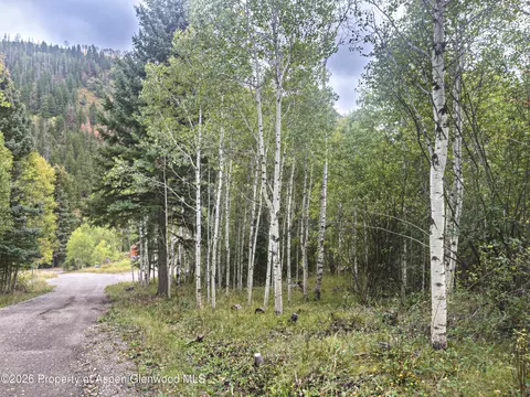 62 Aspen Street Redstone Co 81623 St, Redstone, CO 81623 photo 3