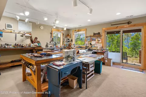 Other - 372 Hawk Lane Basalt Co 81621 Ln, Basalt, CO 81621 photo 4 of 13