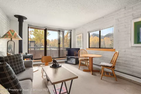 131 Vine Street Aspen Co 81611 St, Aspen, CO 81611