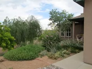 910 Crown Ct, Fruita, CO 81521 photo 8