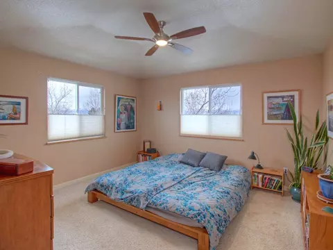 910 Crown Ct, Fruita, CO 81521 photo 31