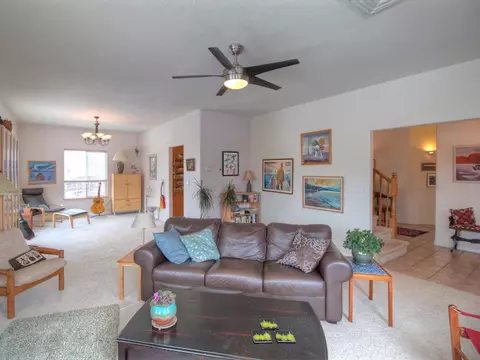 910 Crown Ct, Fruita, CO 81521 photo 13