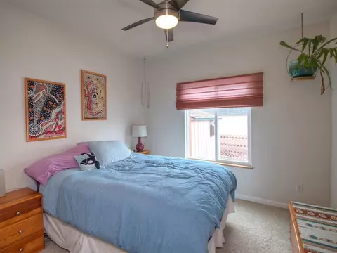 910 Crown Ct, Fruita, CO 81521 photo 24