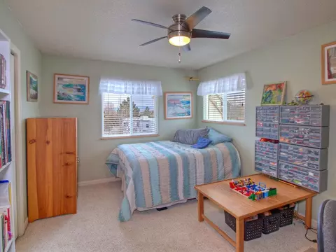 910 Crown Ct, Fruita, CO 81521 photo 26