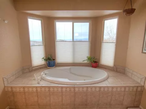 910 Crown Ct, Fruita, CO 81521 photo 25
