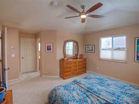 910 Crown Ct, Fruita, CO 81521 photo 32