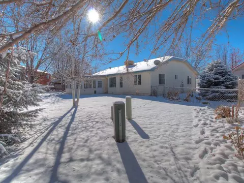 564 N Willow St, Fruita, CO 81521 photo 27