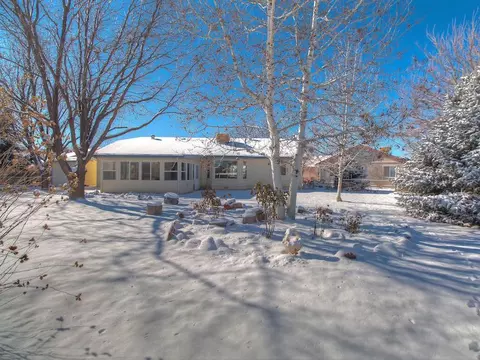 564 N Willow St, Fruita, CO 81521 photo 28