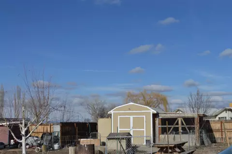 887 20 12 Rd, Fruita, CO 81521 photo 13