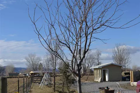 887 20 12 Rd, Fruita, CO 81521 photo 12