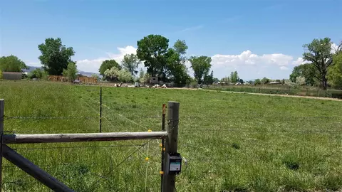 887 20 12 Rd, Fruita, CO 81521 photo 9