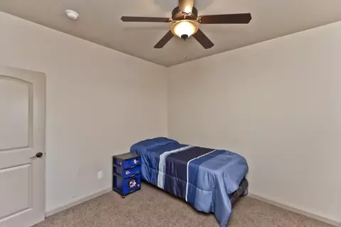 888 St Peppin Dr, Fruita, CO 81521 photo 9